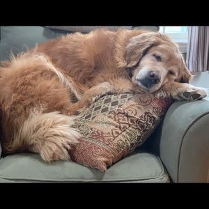 Meet your Posher, Kathy